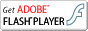 Forest design affordable web sites, FlashPlayer