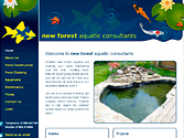 A website by Forest Design