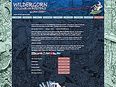 A website by Forest Design